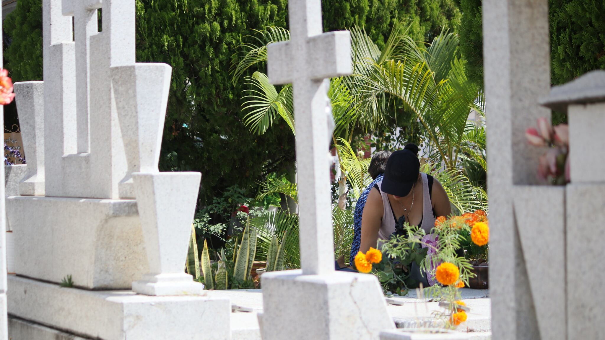 Algunos municipios no permitirán el ingreso de música en vivo, otros sí.