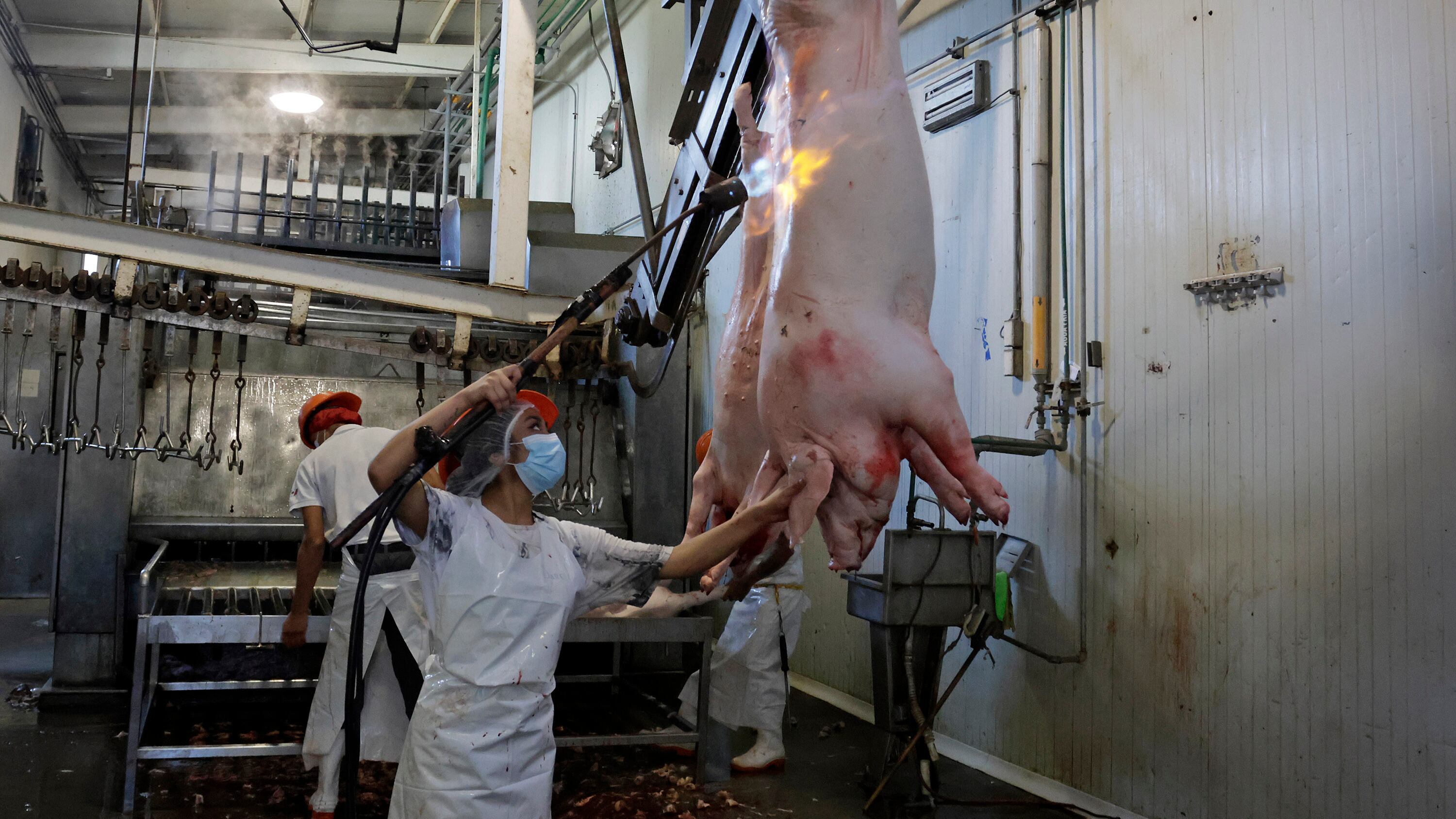 FOTO: Mireya Novo/Agencia Enfoque