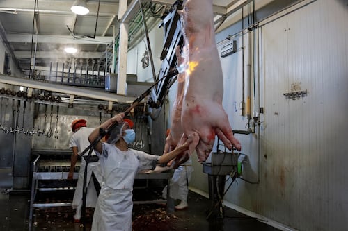 Rastro Municipal mejora proceso de descargas residuales