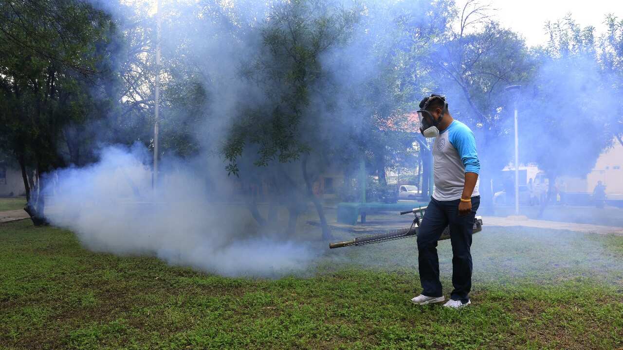 Se fumigarán parques, plazas y jardínes de todo el municipio.