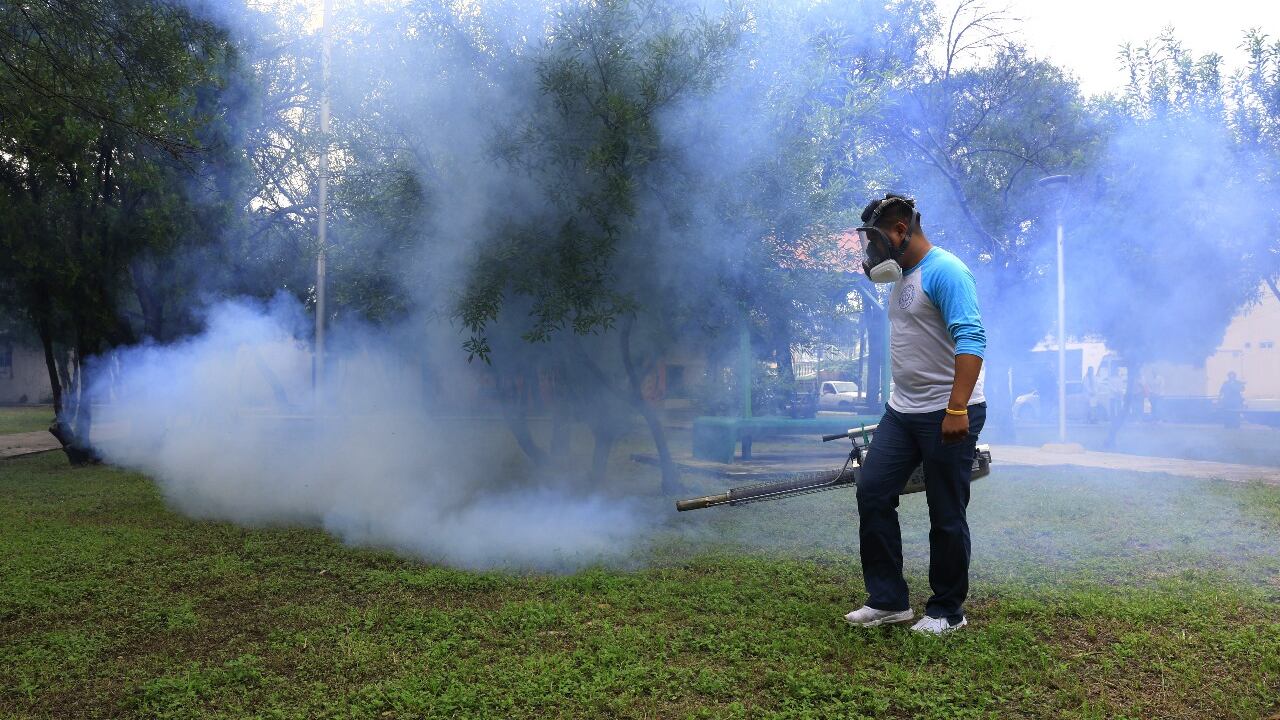 Se fumigarán parques, plazas y jardínes de todo el municipio.