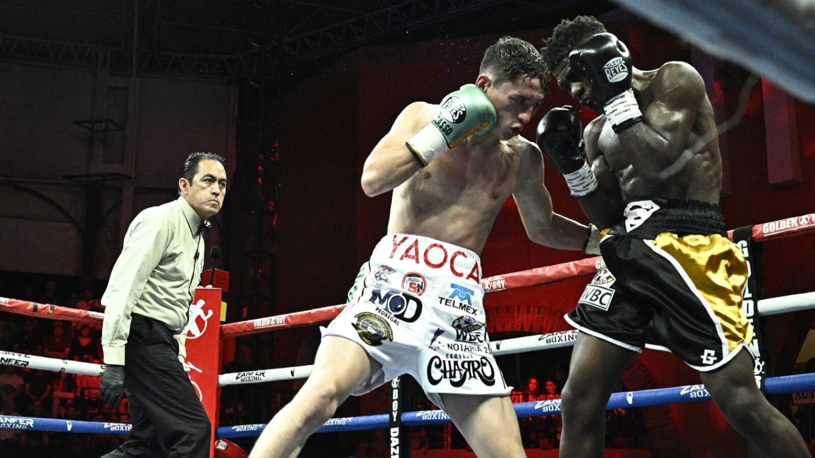 El Rey Picasso se apoderó de un nuevo triunfo I Cortesía (Alma Ibarra /CMB)