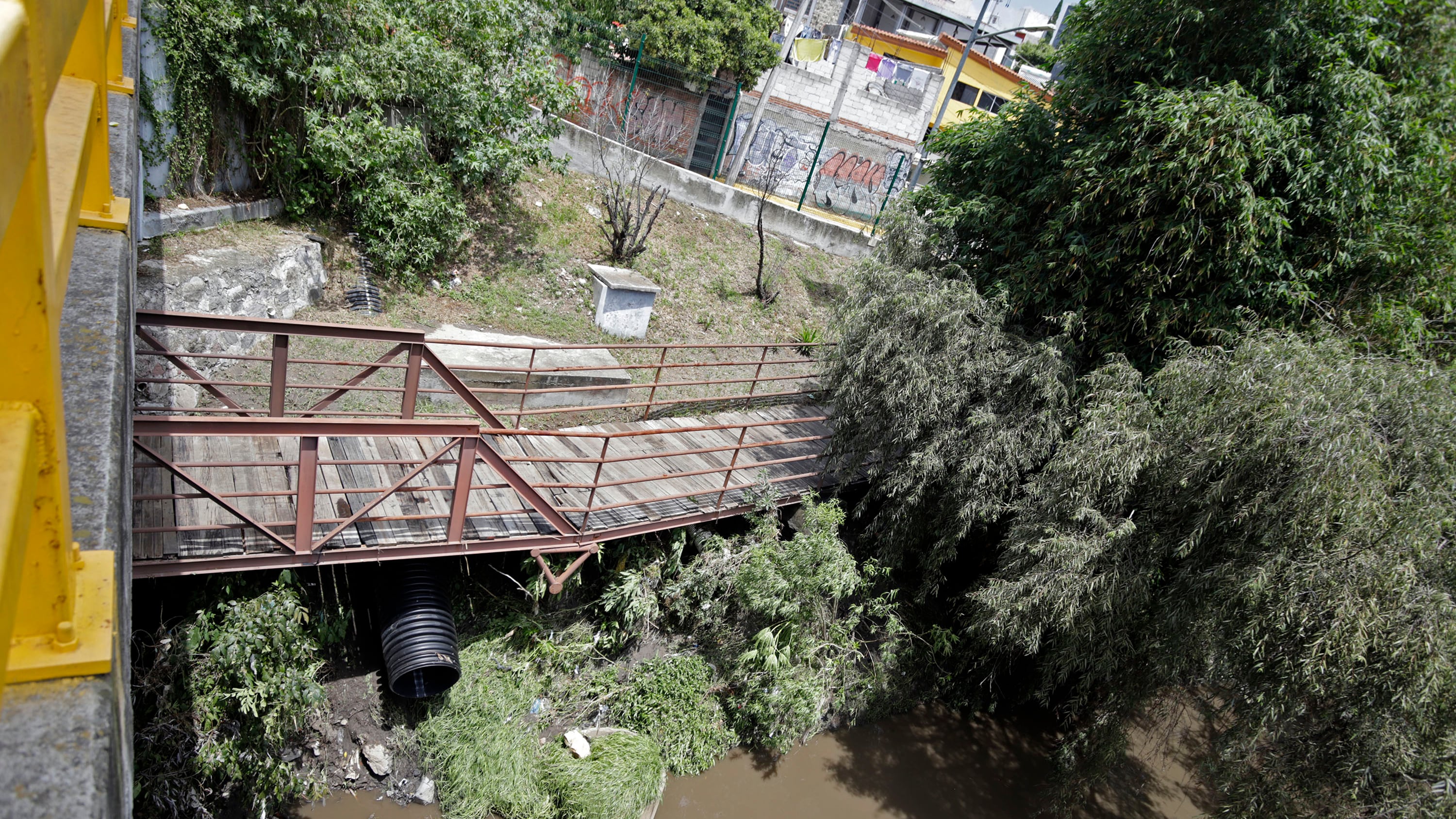 Foto: Agencia Enfoque