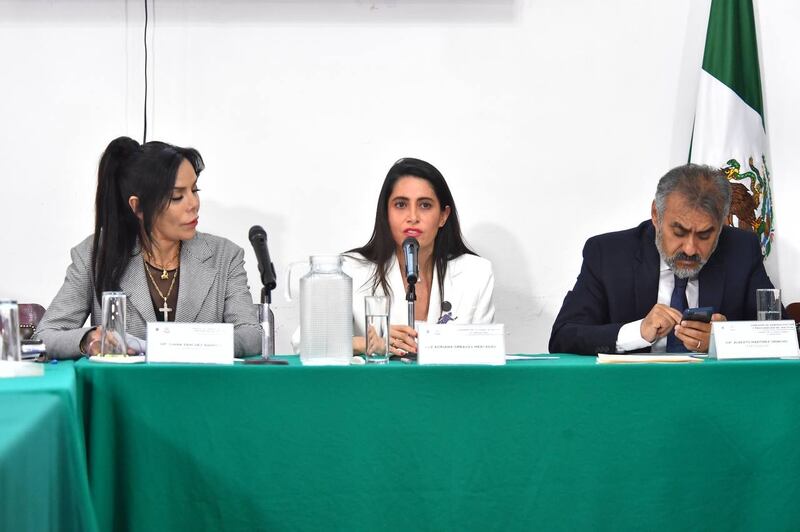 Adriana Greaves presenta su propuesta de plan de trabajo para la Fiscalía Anticorrupción