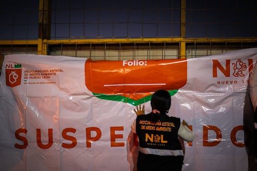 Por actos de crueldad contra gatitos suspenden taller en Apodaca