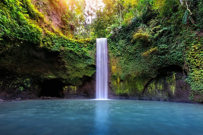 El 51% de su territorio es naturaleza viva que los mexicanos ya quieren visita y se encuentra a tan solo dos horas y media de la capital