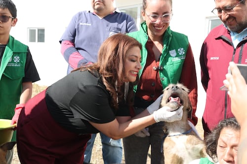 ¿Hallan crematorio clandestino en el Refugio Franciscano? Esto dijo Clara Brugada