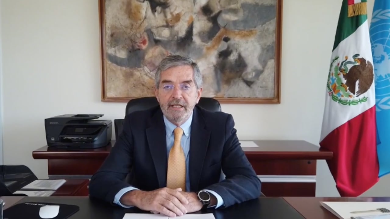 Juan-Ramón-de-la-Fuente-embajador-ONU