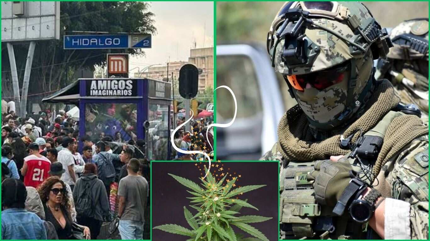 ¿Se puede consumir marihuana en la CDMX?