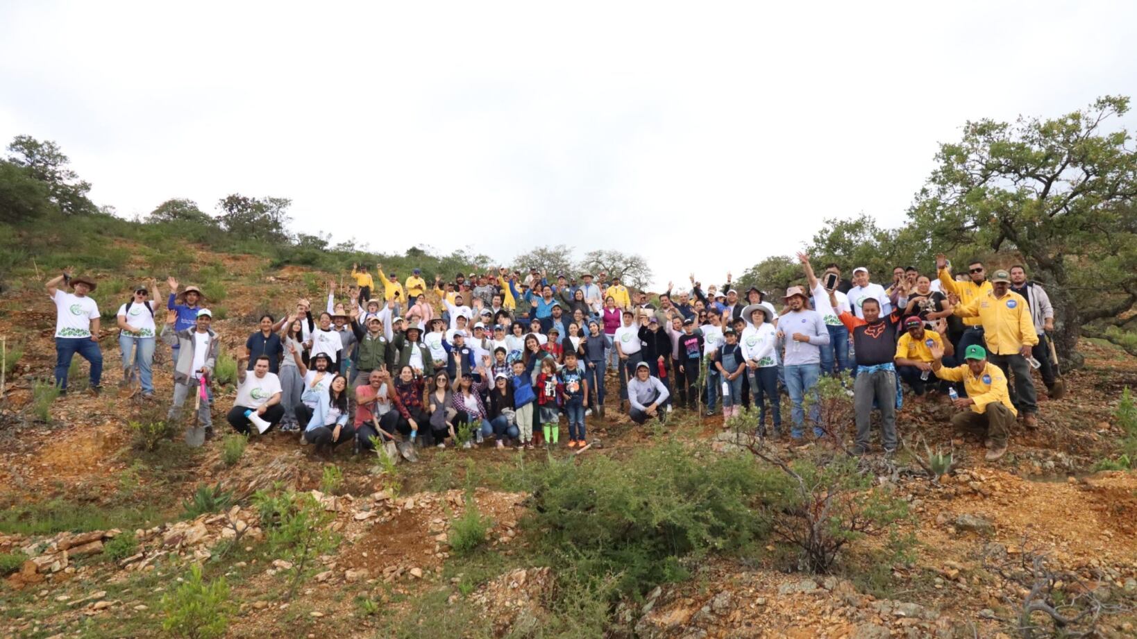 Se impactará en 279 hectáreas.