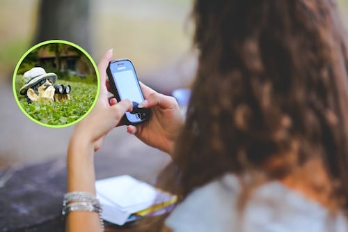 Hasta 4 años de prisión por acoso: Diputados aprueban reforma unánime y endurecen penas en México