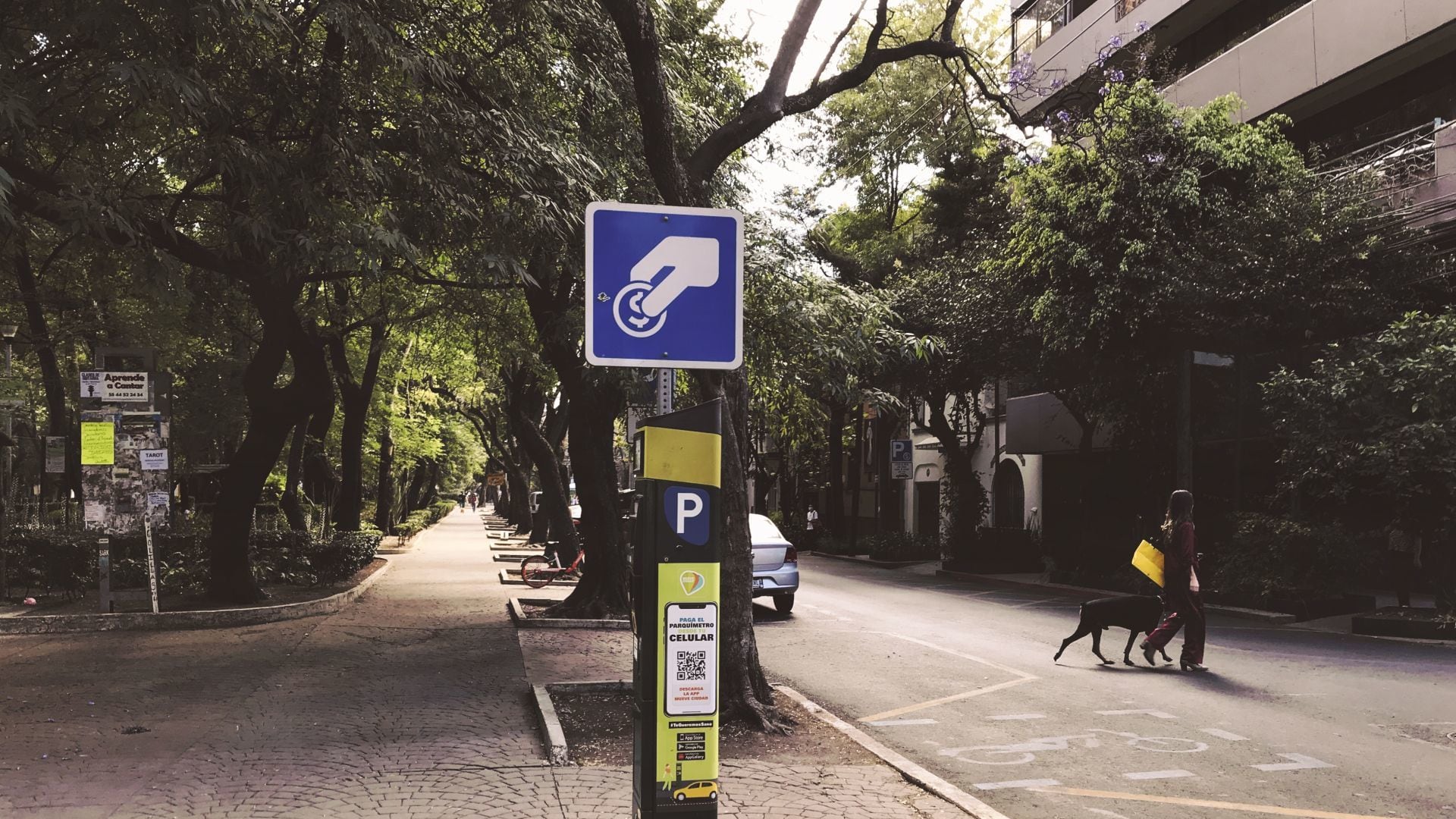 Parquímetros en la Ciudad de México. Foto: Cuartoscuro