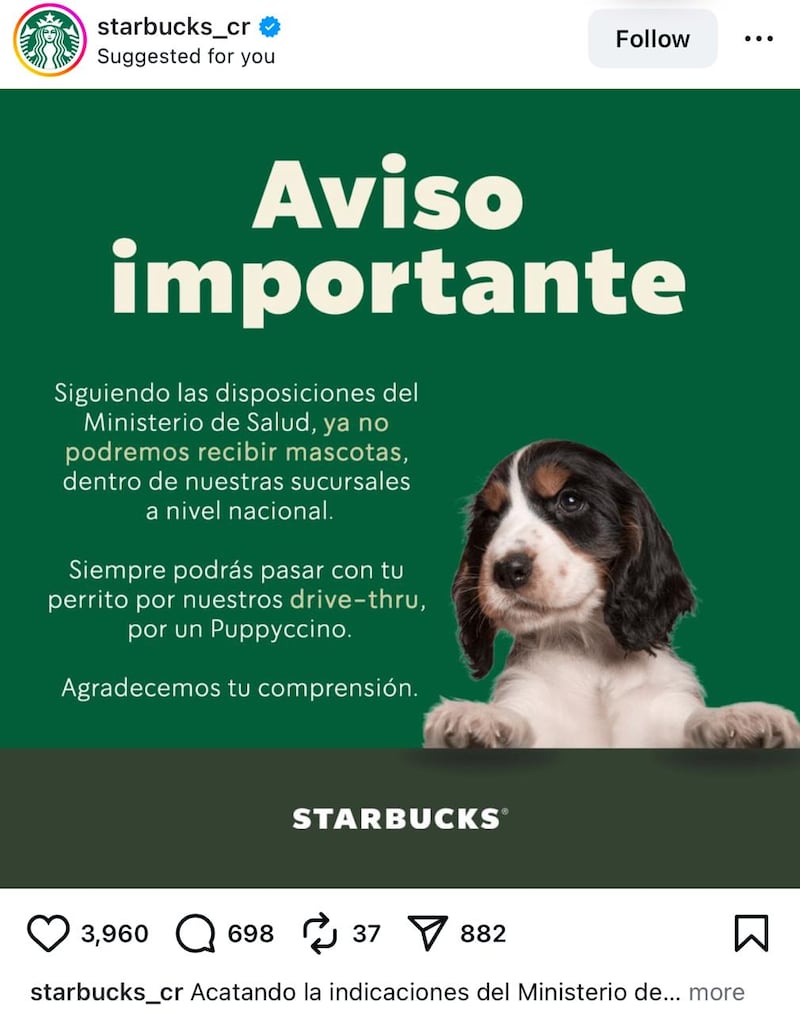 O Starbucks não aceita mais animais de estimação