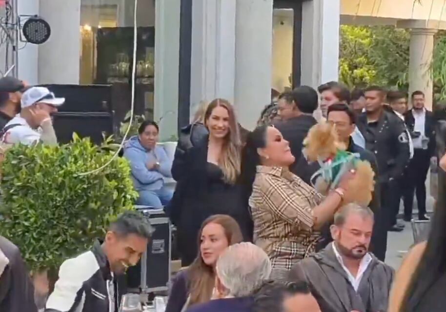 #PolíticoConfidencial: La zarandeada canina se vuelve contra la abogada de las estrellas