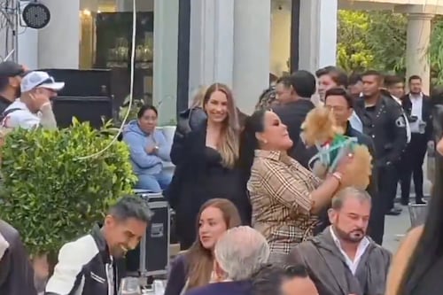#PolíticoConfidencial: La zarandeada canina se vuelve contra la abogada de las estrellas