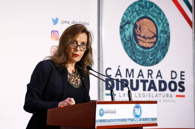María Elena Pérez-Jaén Zermeño