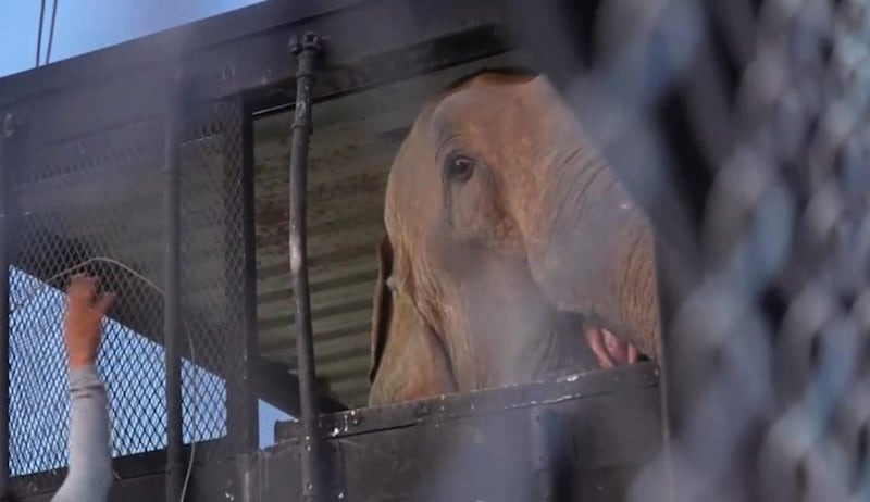 Bioparc Mazatlán, se proyecta como el santuario de vida silvestre más importante de Latinoamérica