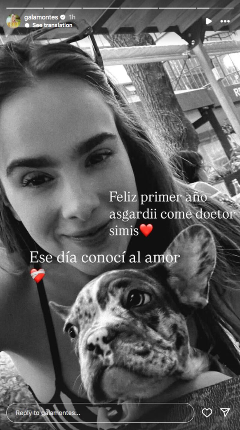 Historia de Gala Montes en Instagram