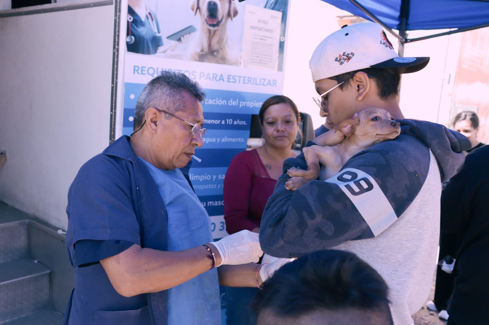 León supera las 19 mil esterilizaciones de mascotas en Hospital Municipal