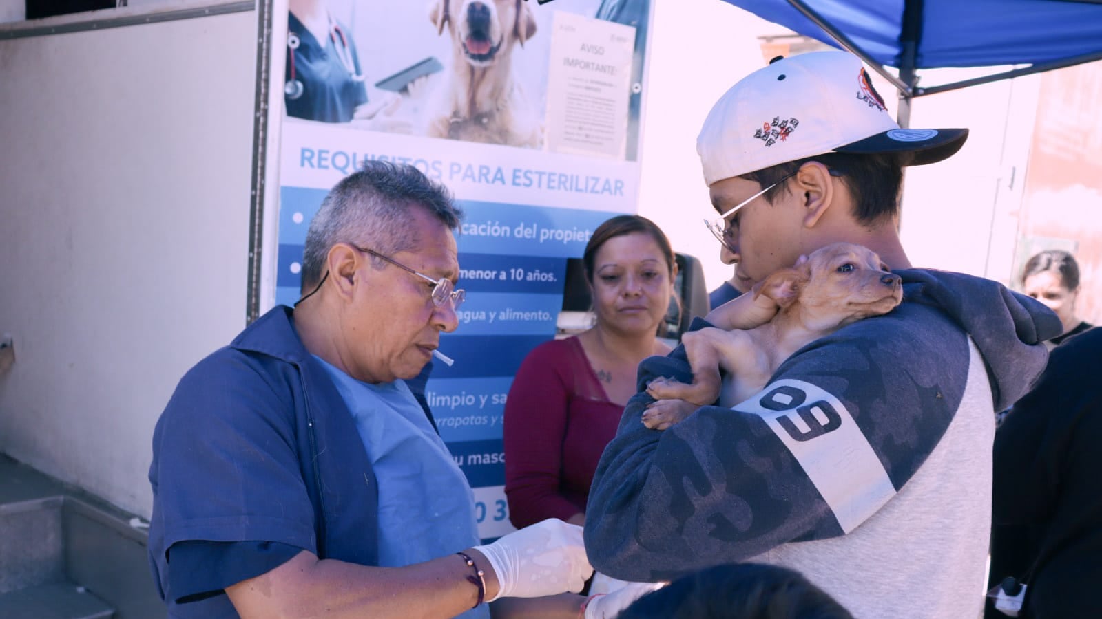 El Hospital de Mascotas de León ha realizado más de 19 mil esterilizaciones de perros y gatos para promover la tenencia responsable.