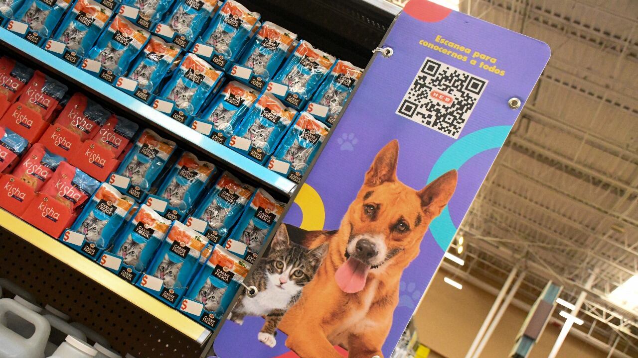 Una adopción responsable es un compromiso que permite mejorar la calidad de vida de los animales abandonados o maltratados.