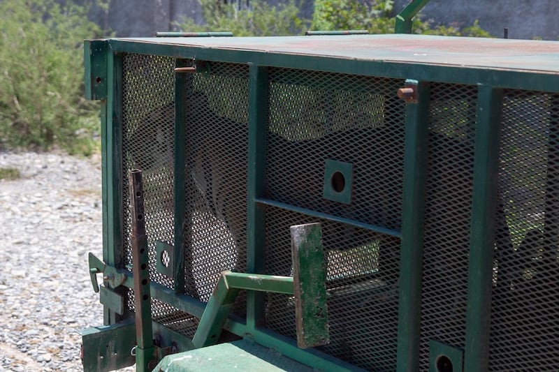 La Profepa estaba en el lugar donde el felino fue recuperado.