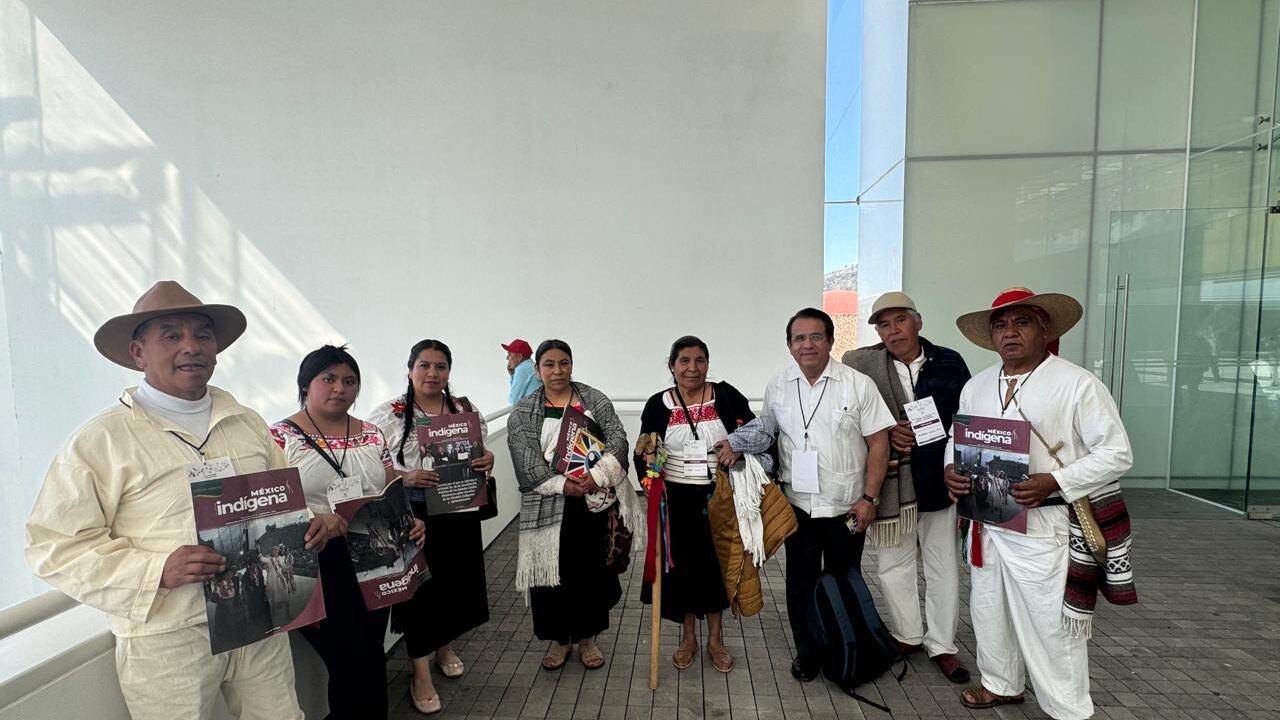 Pueblos indígenas de Guanajuato.