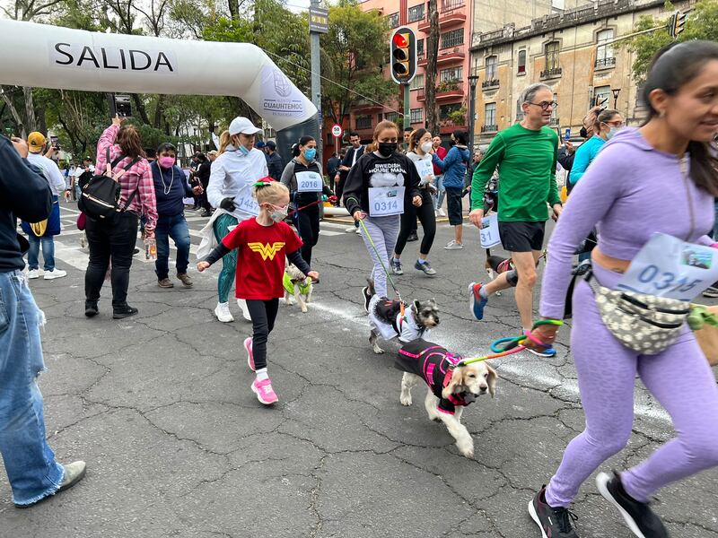 Carrera Perritos en Fuga