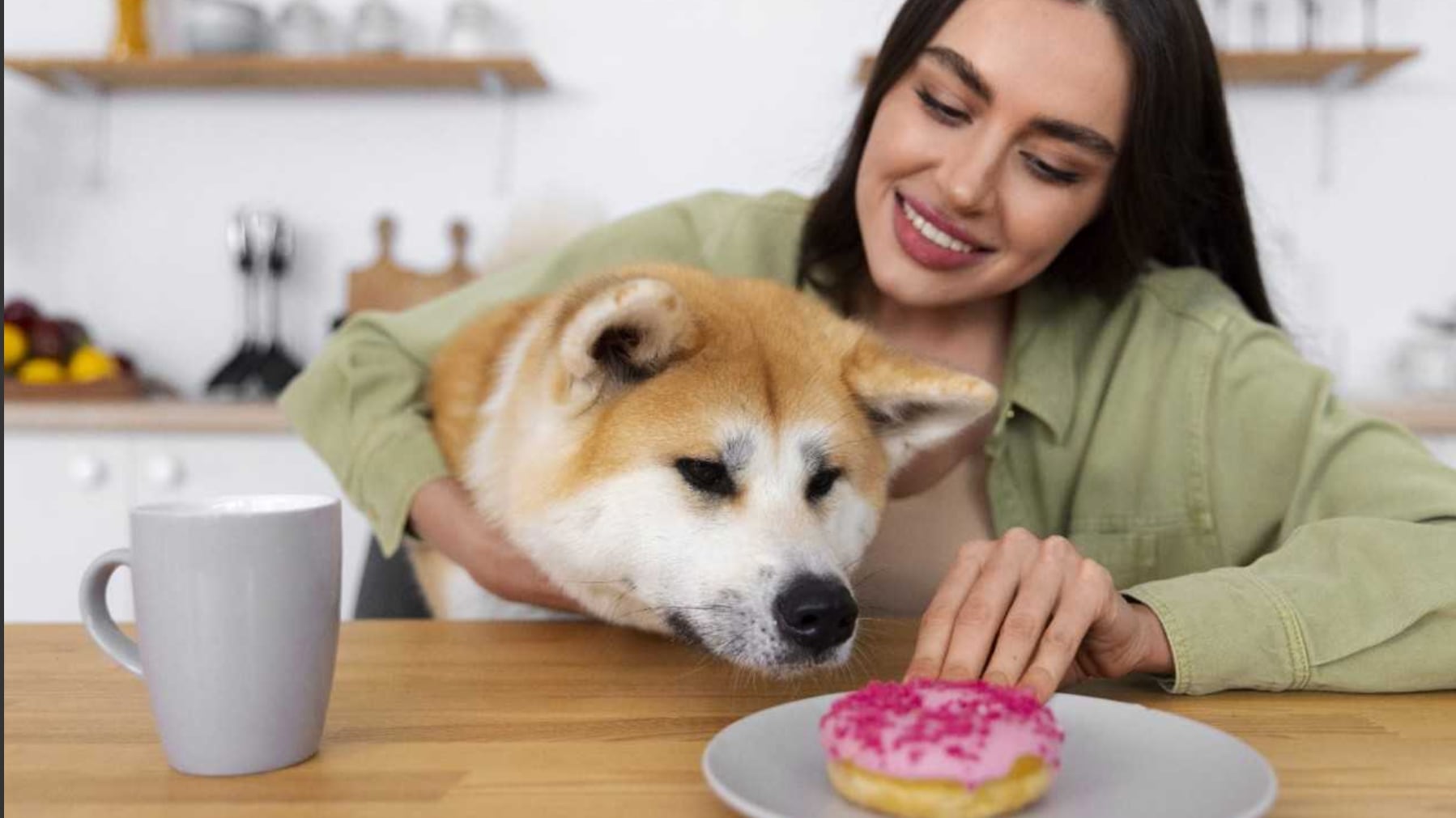 Obesidad de mascotas