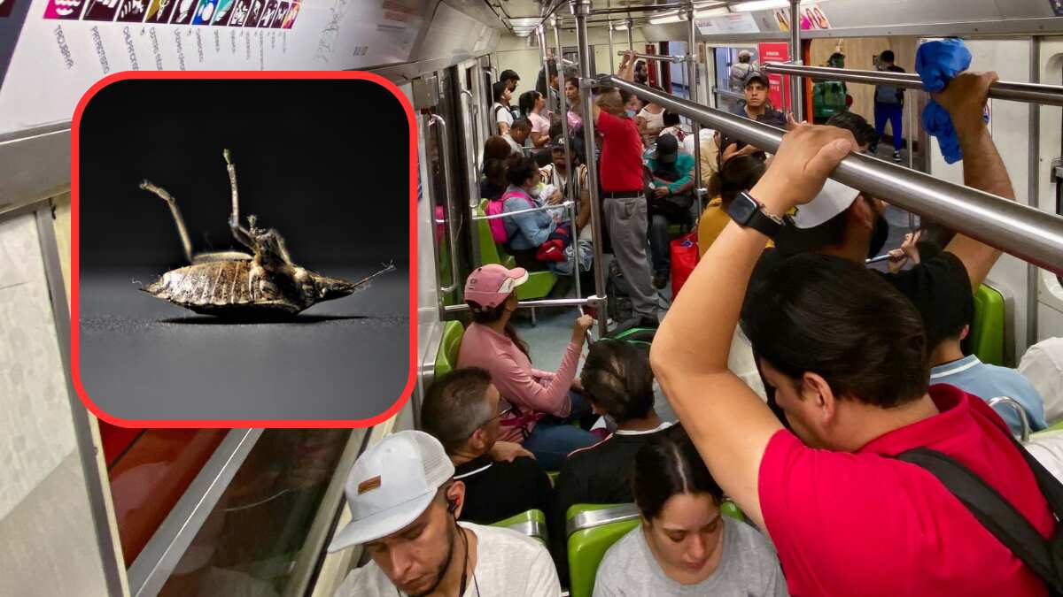 Chinches en el Metro