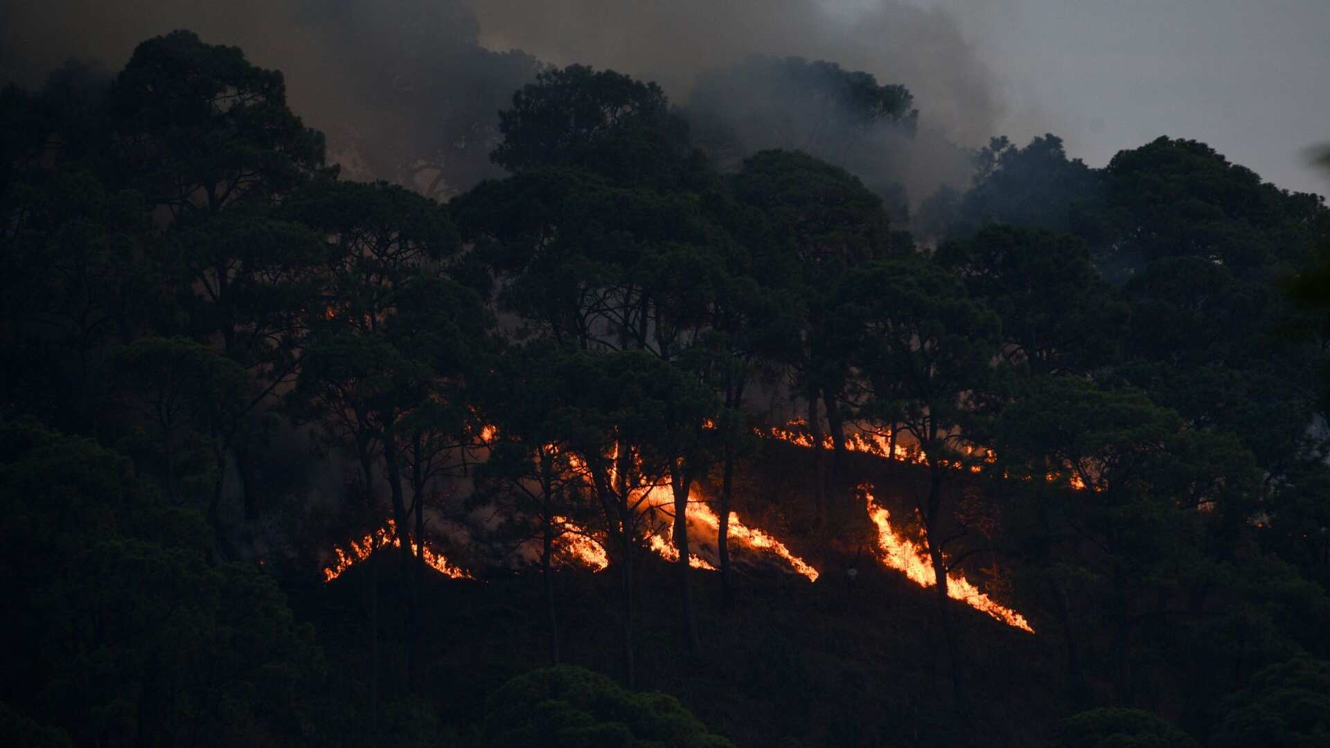 Continúan labores contra incendios forestales en Valle de Bravo