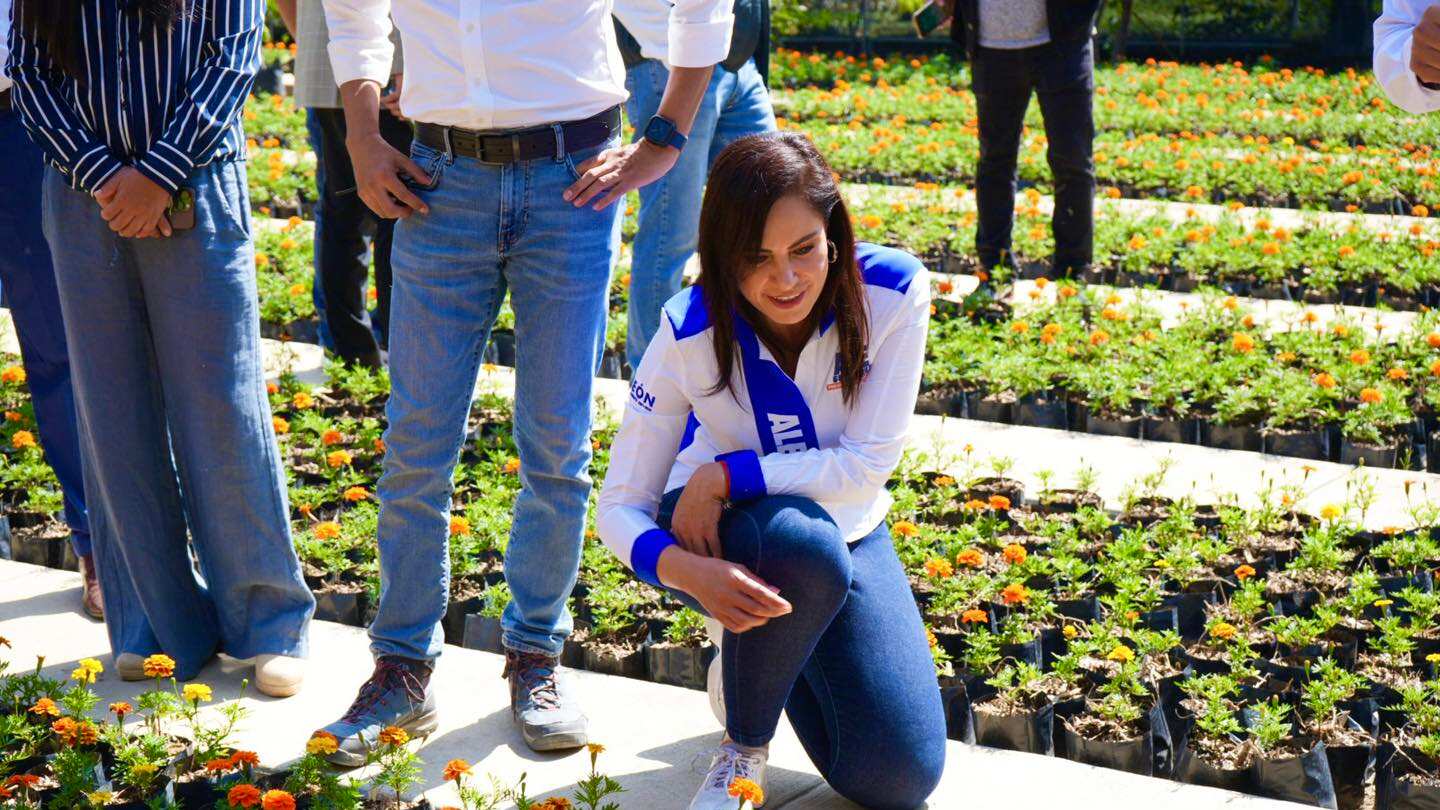 Entregan reconocimiento internacional.