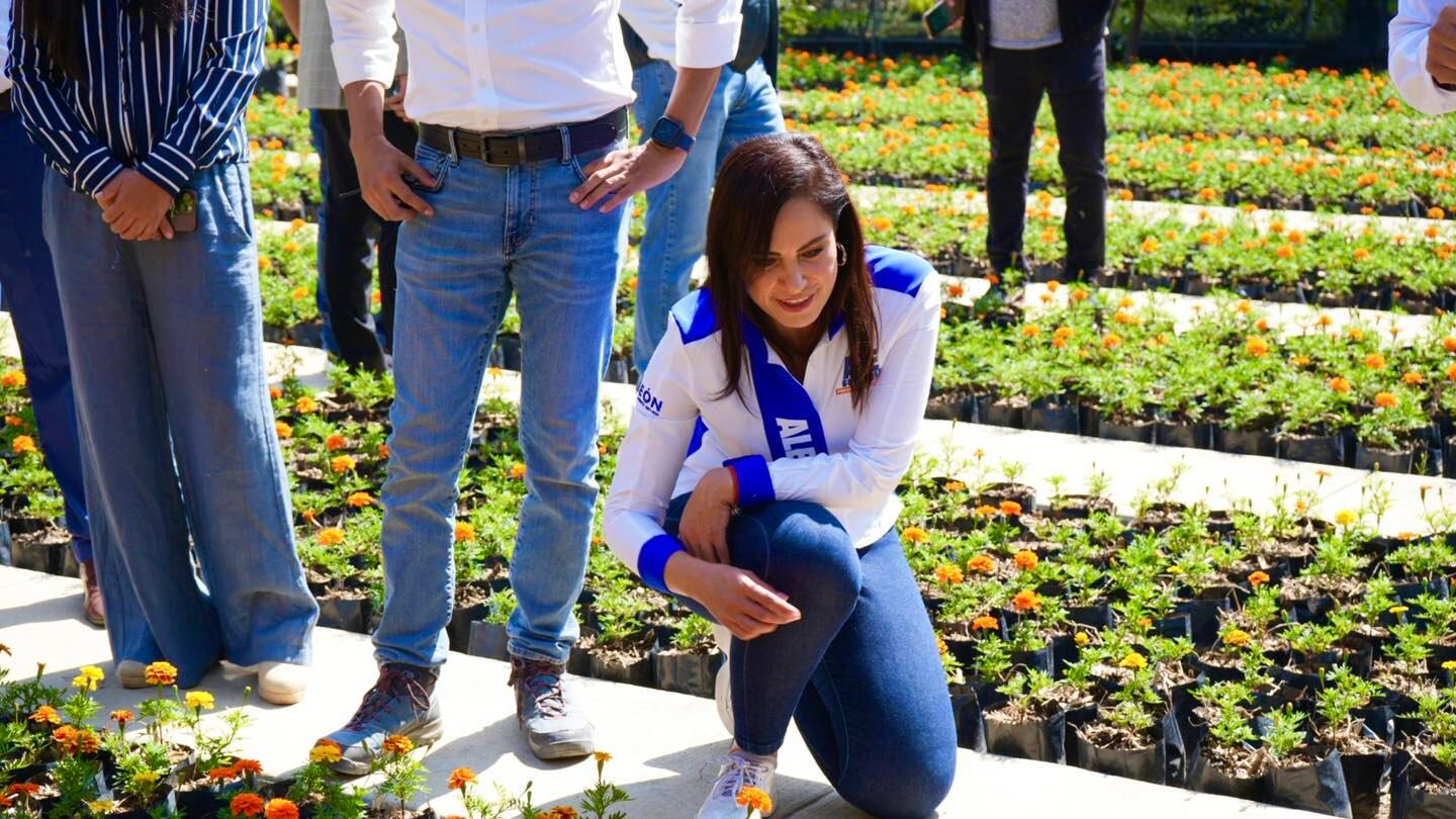 Entregan reconocimiento internacional.