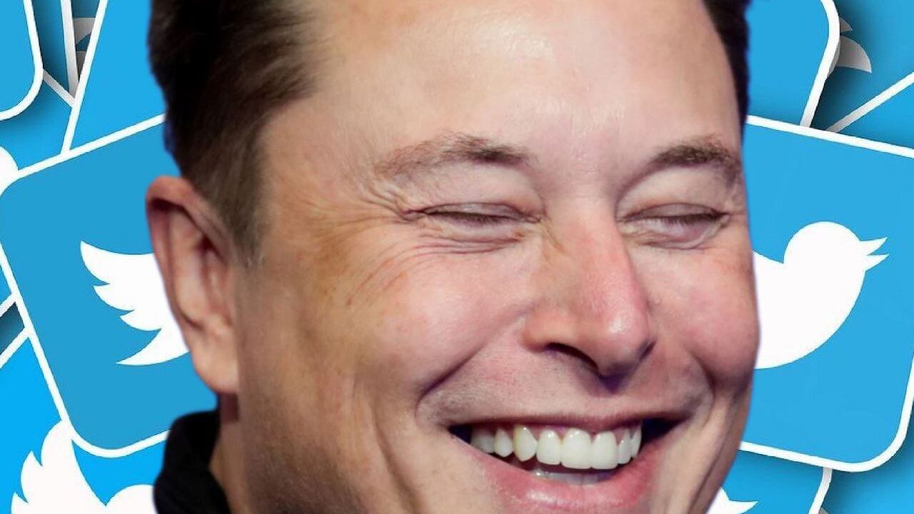 Elon Musk - Twitter. Composición: Kiko Perozo