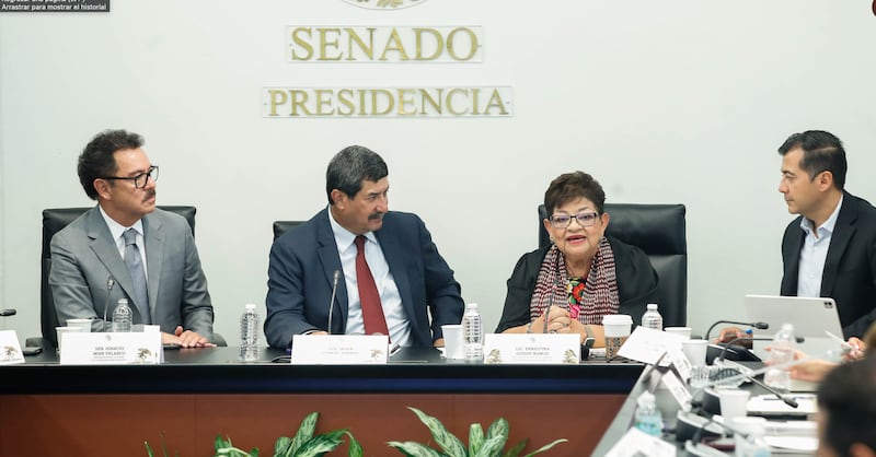 Ernestina Godoy ante el Senado