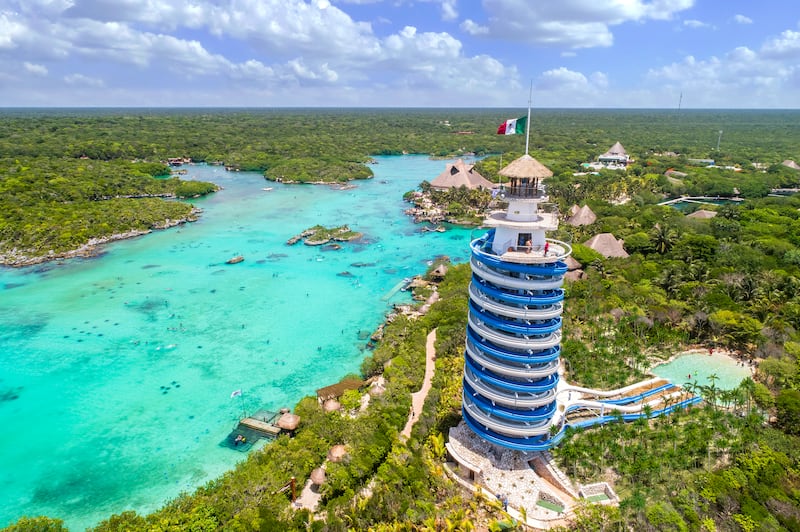Conoce más acerca de una de las especies más valoradas por la cultura maya en el Festival de la Abeja Melipona que se celebra en Xel Ha