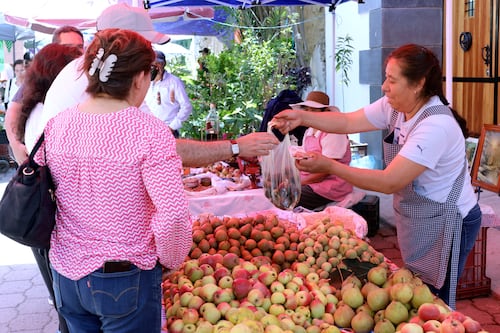 Daños en más de mil hectáreas de cultivos sin afectar producción de fruta para el Chile en Nogada