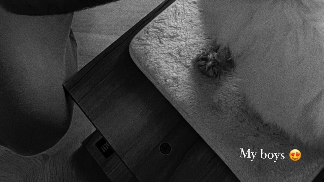 El empresario venezolano Danilo Díaz Granados es el novio de Michelle Salas con quien ha tenido el romance desde el año 2016.