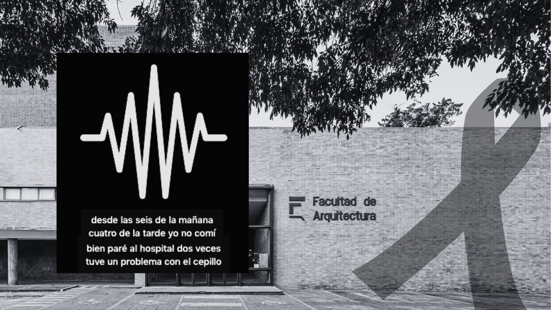 Audio publicado en un grupo de Facebook de la Facultad de Arquitectura