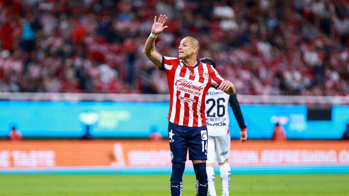 Chicharito Hernández