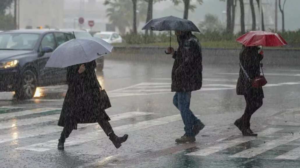 La tormenta provocará lluvias, tormentas eléctricas y oleaje elevado, especialmente en las zonas costeras y del sur del estado. ESPECIAL