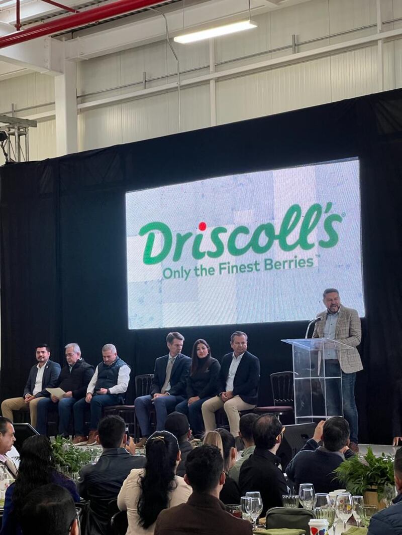 Driscoll’s