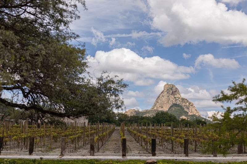 Ruta del Arte, Queso y Vino.