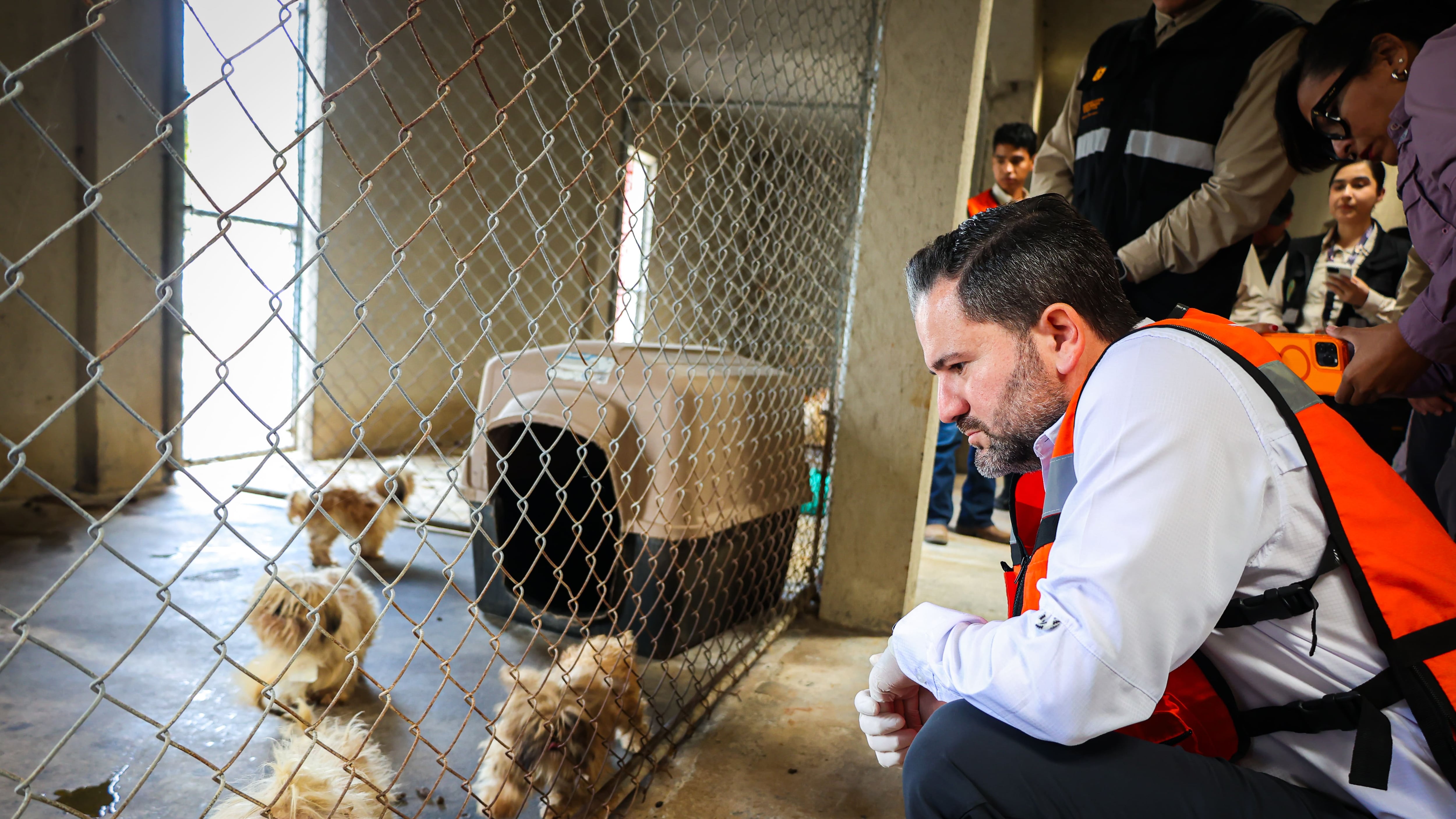 Raúl Lozano Caballero, titular de Medio Ambiente, supervisó el rescate de los ejemplares.