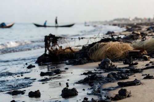 ¡Así de grave! Suspenden pesca en Veracruz por dos años tras derrame de petróleo