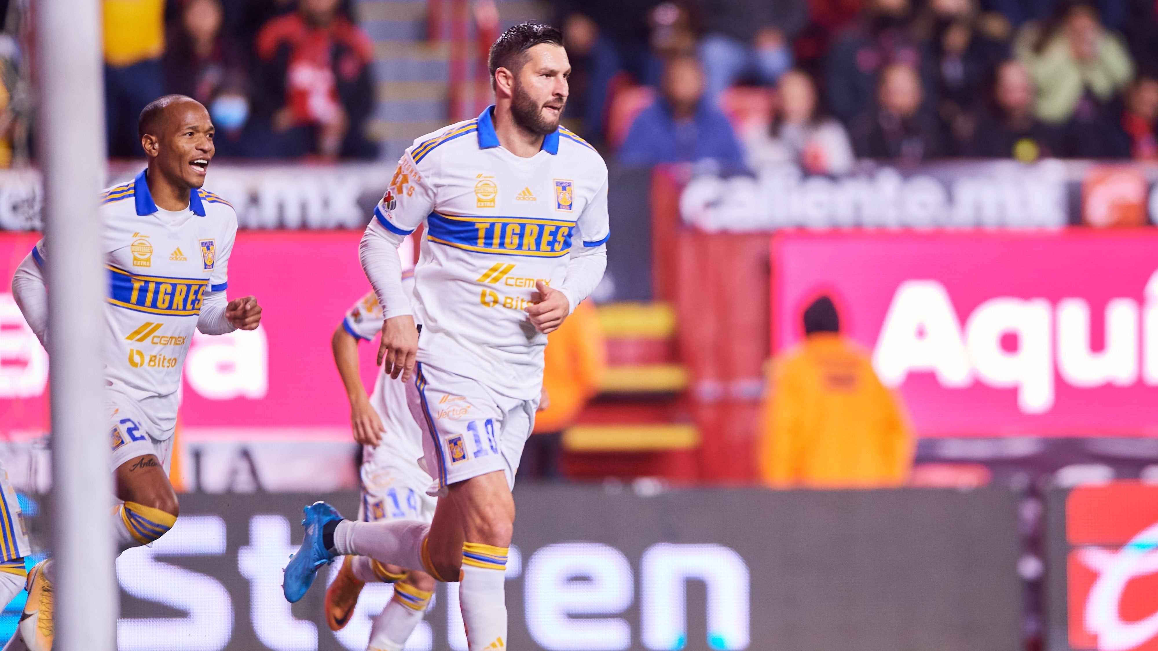 Los felinos continúan sin conocer la derrota en este torneo