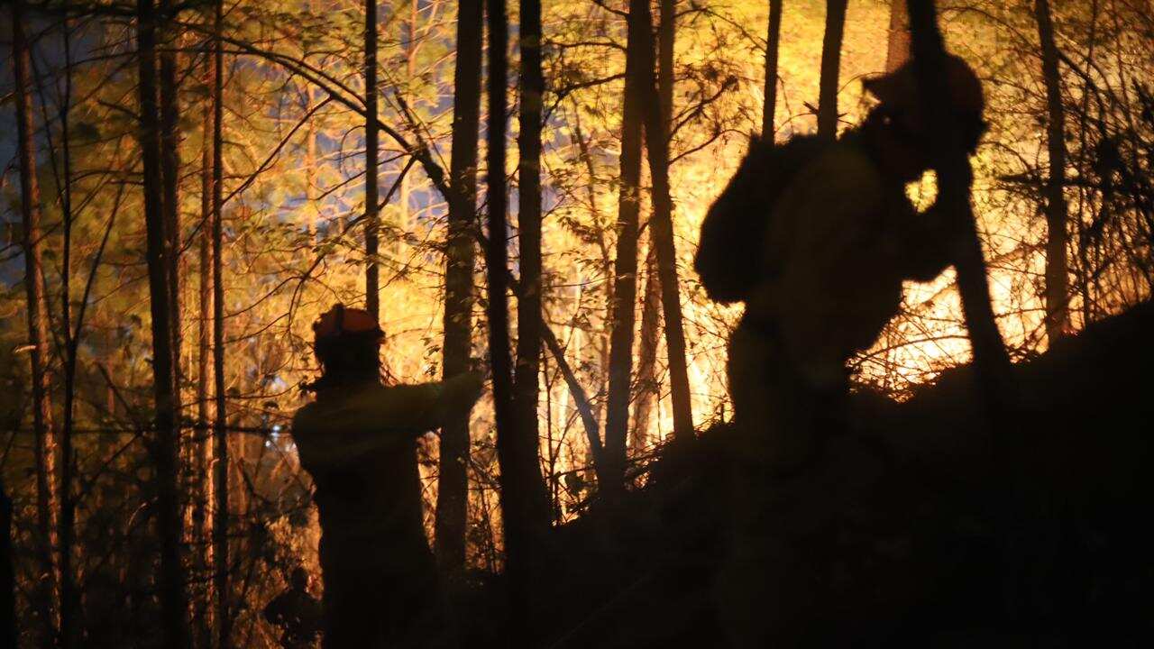 El fuego se originó en Arteaga, Coahuila