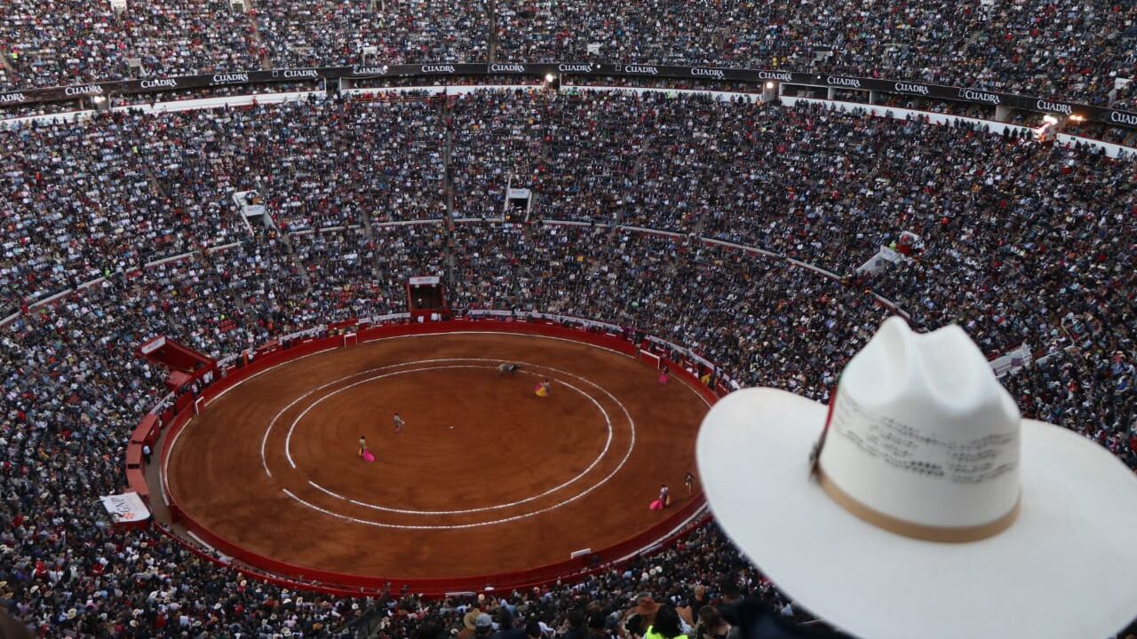 Corridas de toros no tienen que martirizar a animales