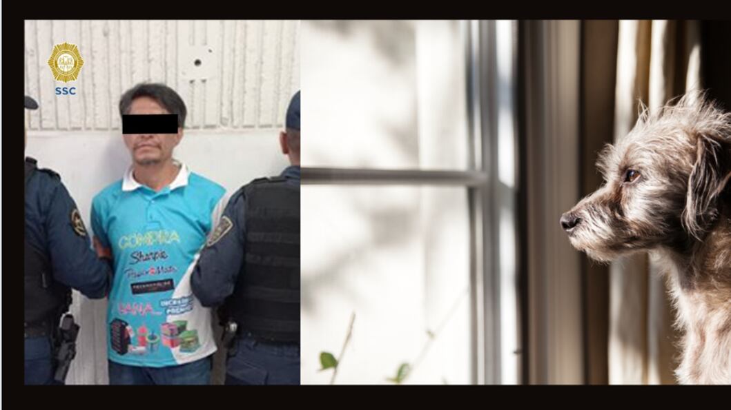 El sujeto, que agredió a un perro en la alcaldía Azcapotzalco, fue detenido (Especial).