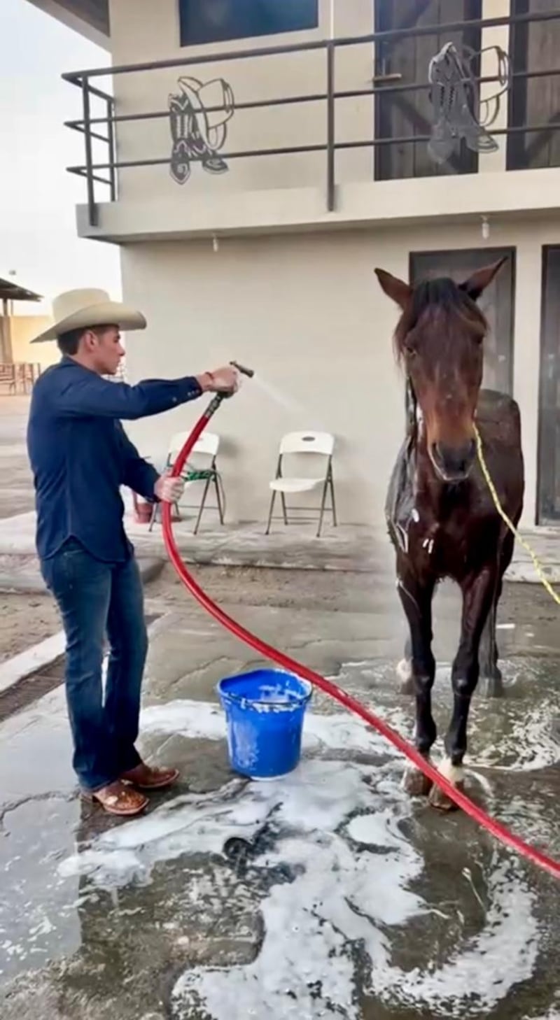 “Sí me veo como gobernador, pero hoy mi prioridad es cumplirle a Nuevo León”: Mike Flores